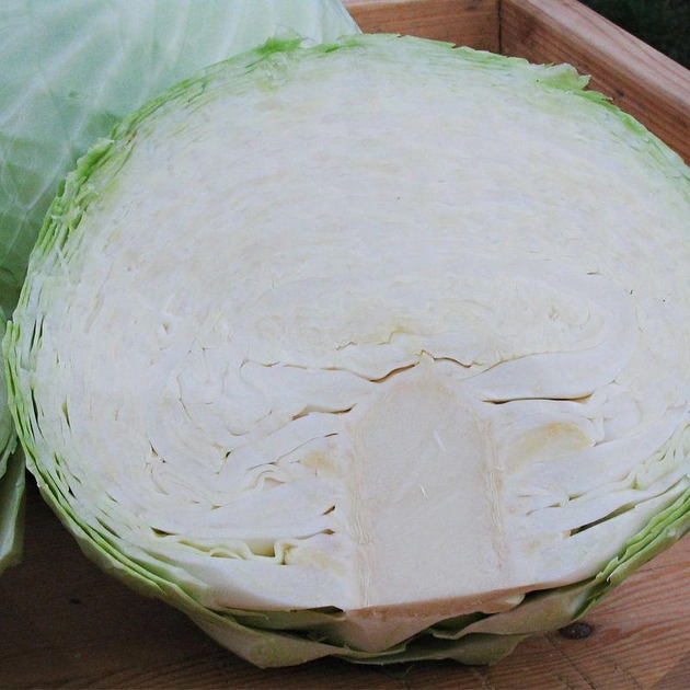 Насіння білоголової капусти Moravoseed Авак f1 10000 насінин