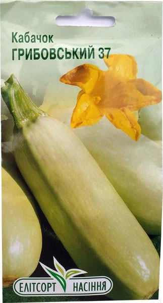 Насіння Кабачків Грибовський 37 20 шт. Елітсортнасіння