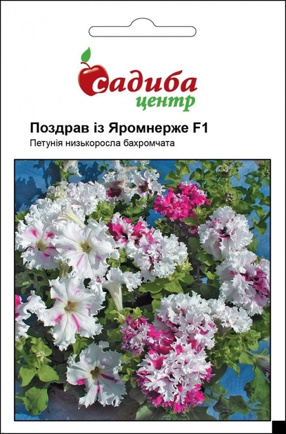 Петунія Cerny Привіт із Яромнерже F1, 10 гран Садиба Центр