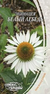 Насіння ехінацеї Білий Лебідь