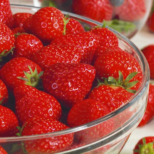 Насіння полуниці Треска Seedera 0,01 г