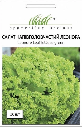 Насіння Салат Леонора, напівголовчастий, 30 шт