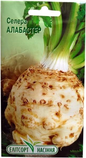 Насіння селери кореневої Алабастер 0,5 г Елітсортнасіння