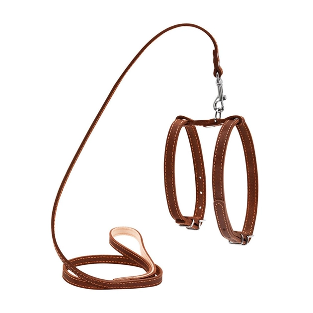 Шлей Collar з повідцем для дрібних собак 14мм А:27-35смВ:35-45см/122см Коричневий