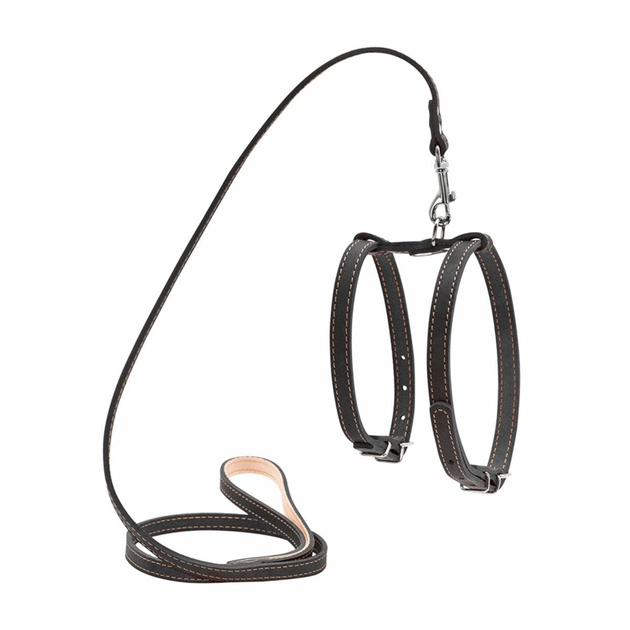 Шлей Collar з повідцем для дрібних собак 14мм А:27-35смВ:35-45см/122см Чорний