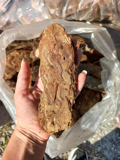 Кора соснова велика 7-15см мішок 50л