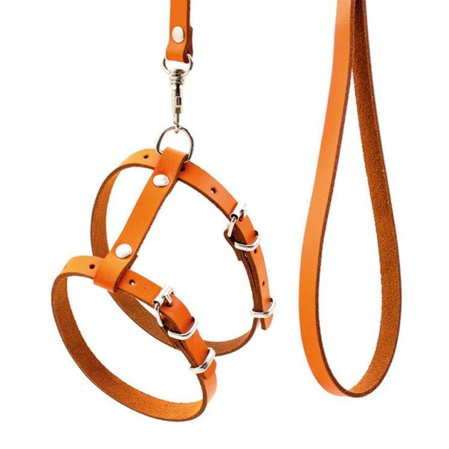 Комплект шкіряний для прогулянки кота Шлейка+Повідець "Кіт" помаранчевий