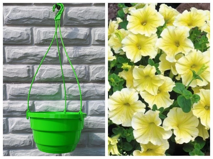 Підвісні горщики для петуній 3,7л салатовий
