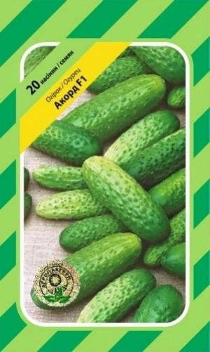Огірок Акорд F1 Агропакгруп 20 насінин