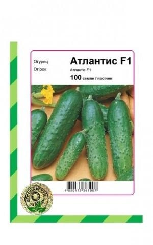 Огірок Атлантіс F1 100 насінин Агропакгруп
