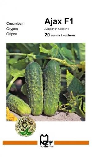 Огірок Наташа F1 Агропакгруп 100 насінин