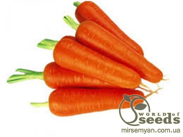 Капуста білокачанна ультраранна "Мірор" F1