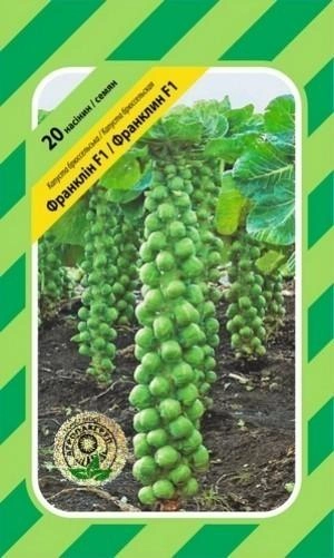 Капуста брюссельська "Франклін" F1 20 насінин. Агропакгруп Бейо (Bejo).