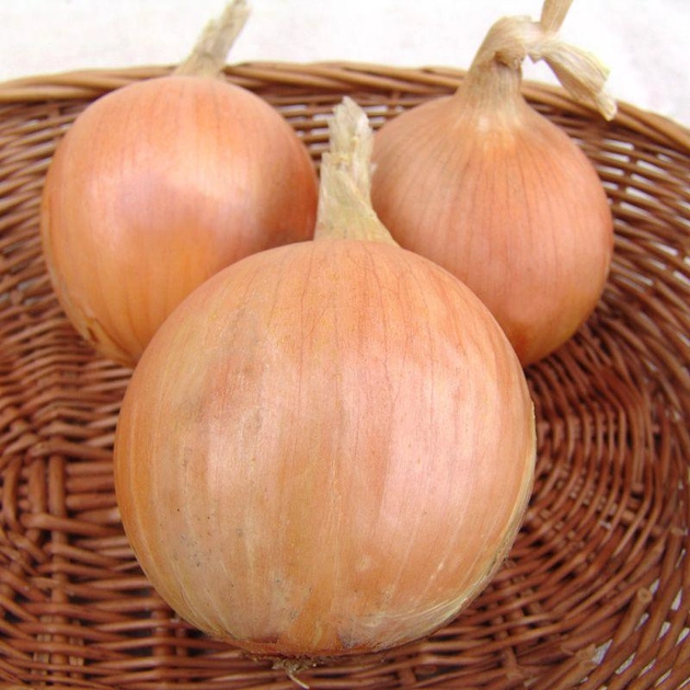 Насіння ріпчастої цибулі Moravoseed Тріумф F1 1 г