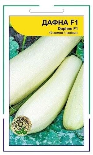 Кабачок "Дафна" F1 10 насінин. Syngenta. А