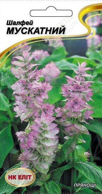 Шавлія мускатна, насіння 0,3 г