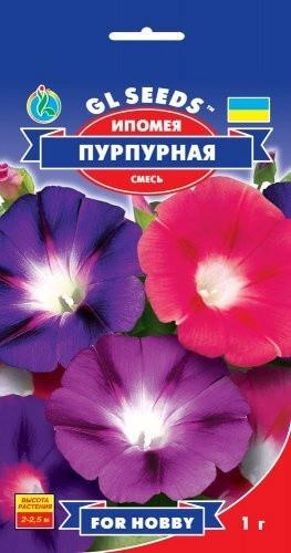 Насіння Іпомея Пурпурна суміш GL Seeds 1 г