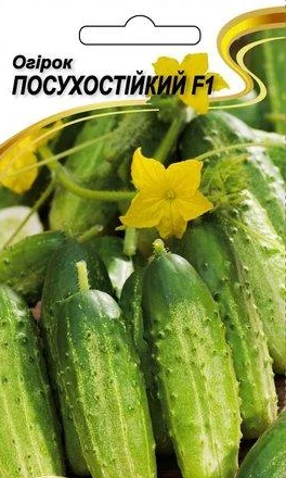 Насіння Огірок Посухостійкий F1 20 шт (НК Еліт)